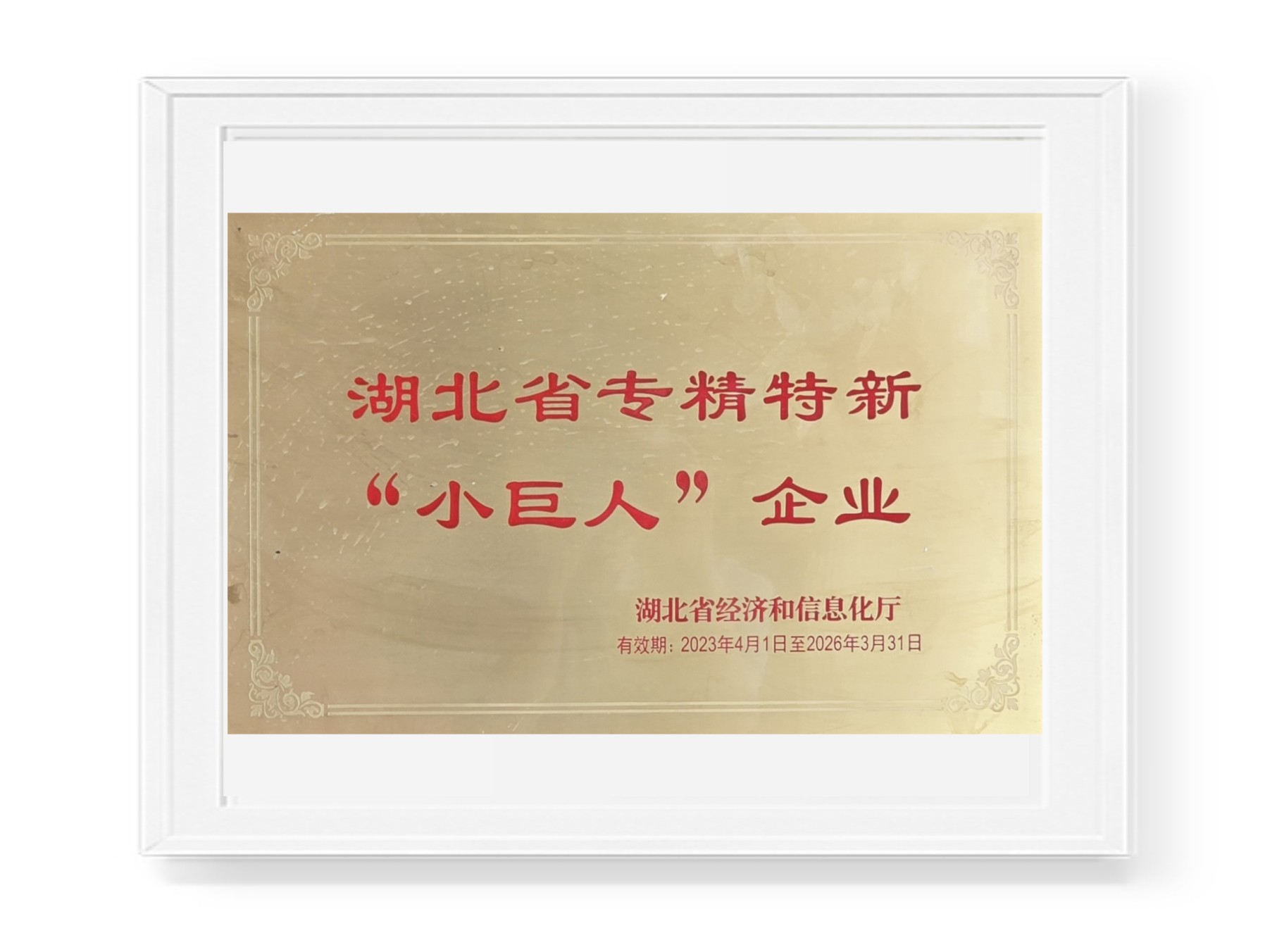 專精特新小巨人企業(yè)